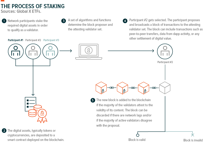 Crypto Staking What Is Staking?