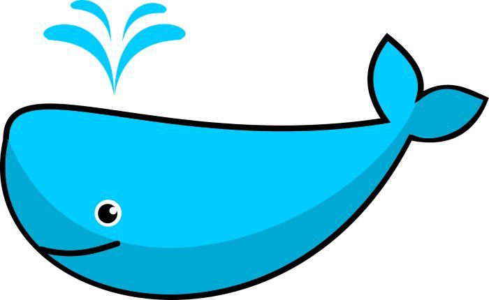 Crypto Whale Meaning | Ledger