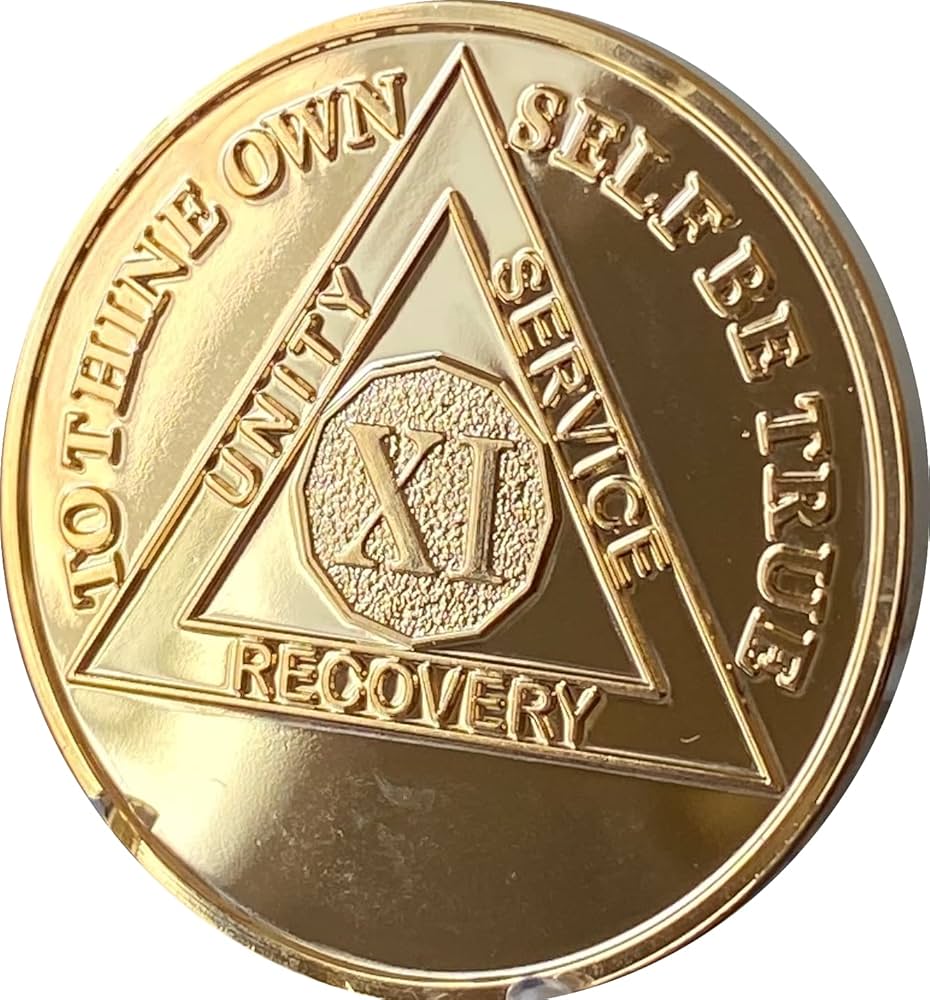 11 Year AA Medallions - Eleven Year Alcoholics Anonymous Coins and Chips — AA Medallion Store