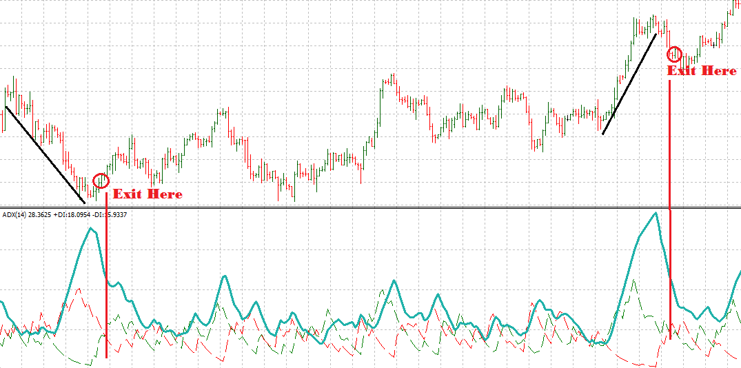 How to Add Indices to MT4? – Blueberry Markets