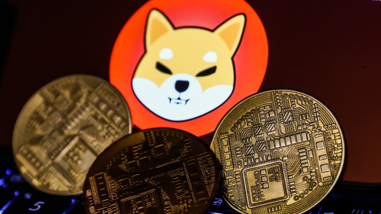 The Future of Shiba Inu Coin: Price Predictions and Why You Should Invest in It