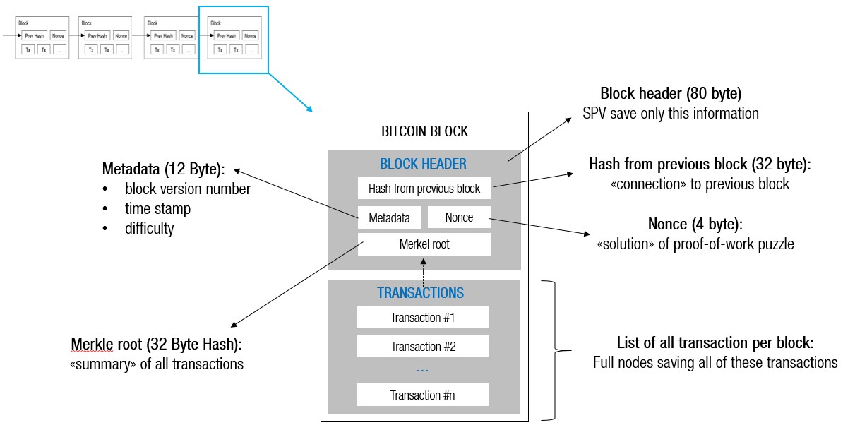 GitHub - rvagg/js-bitcoin-block: A Bitcoin block interface and decoder for JavaScript