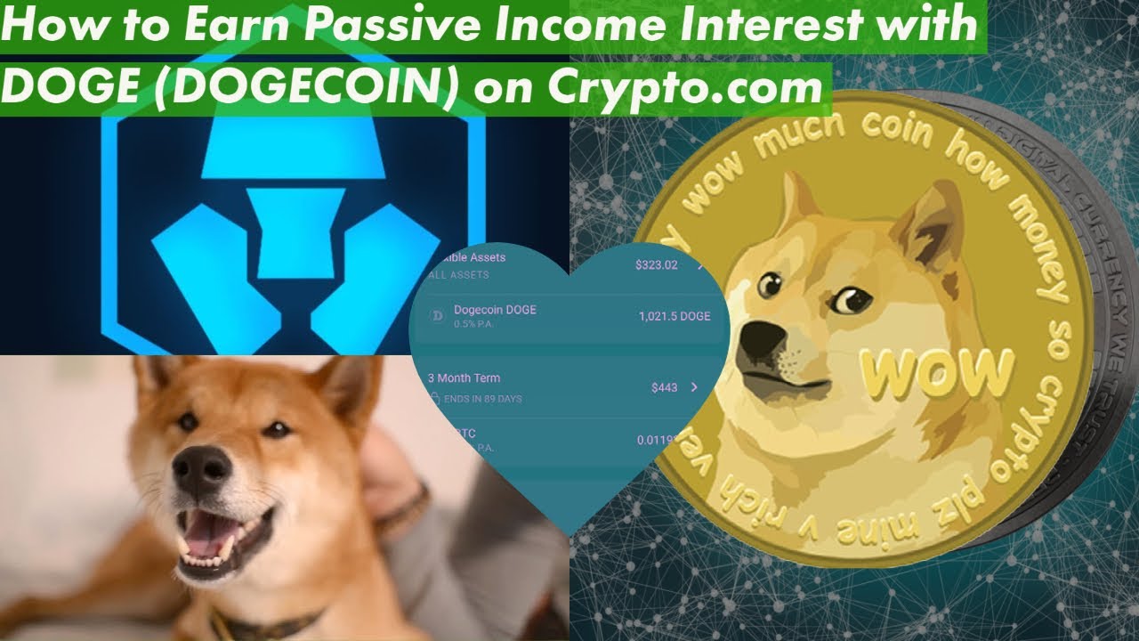 Earn high interest on Dogecoin (DOGE) coins with DEFI