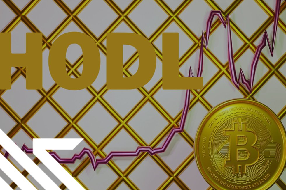 HODL: The Cryptocurrency Strategy of 