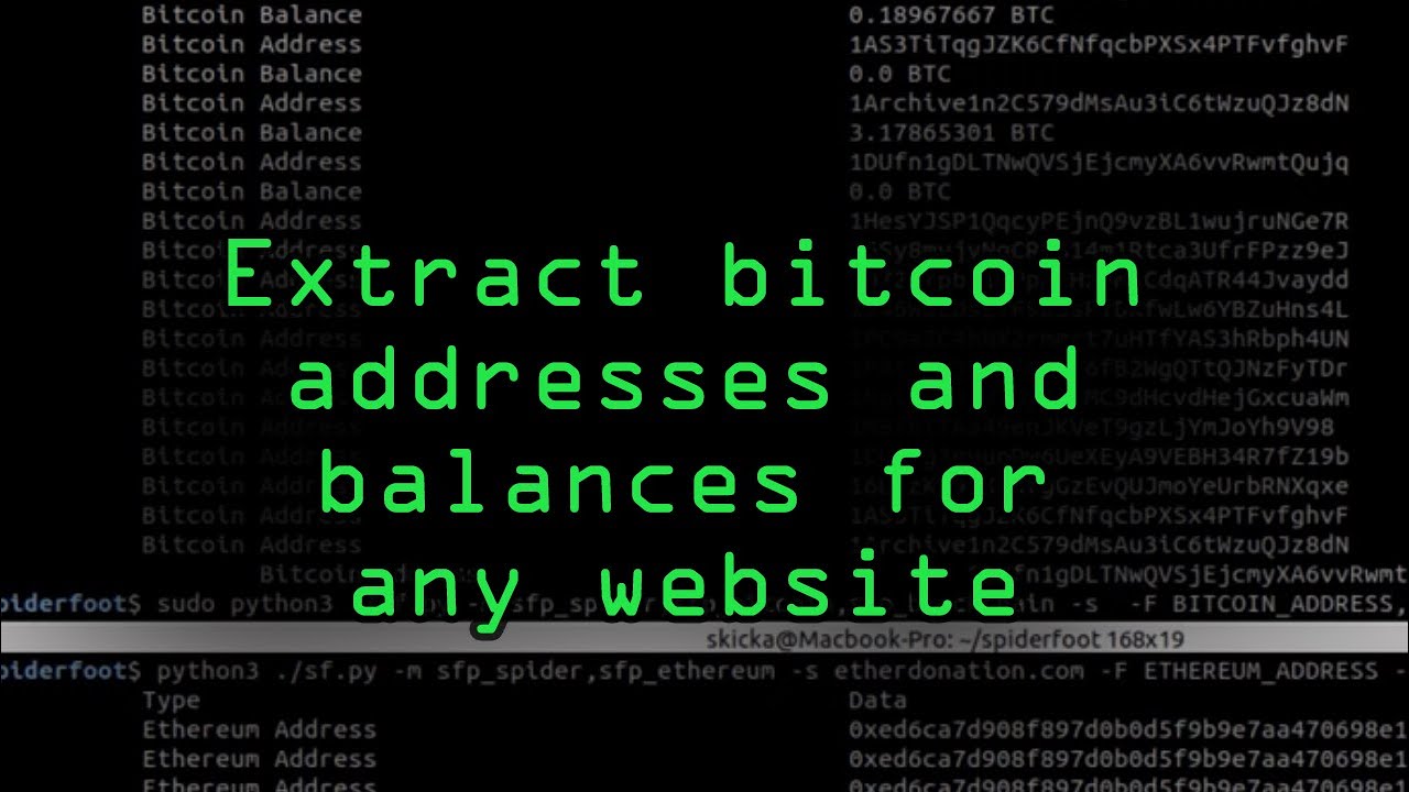 Cryptocurrency Address Balance | Check Your Bitcoin Value | BitIRA®