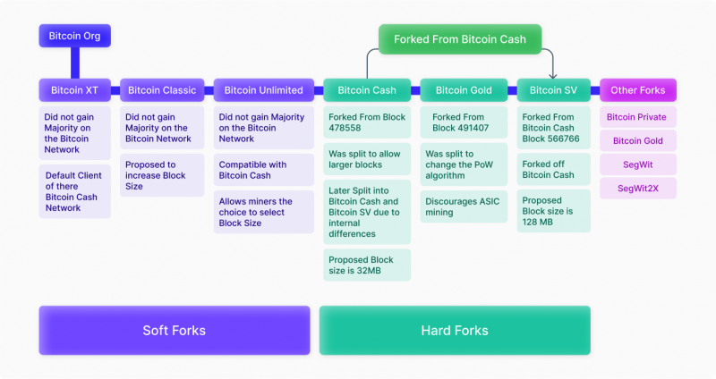 Fork checker | Hashex