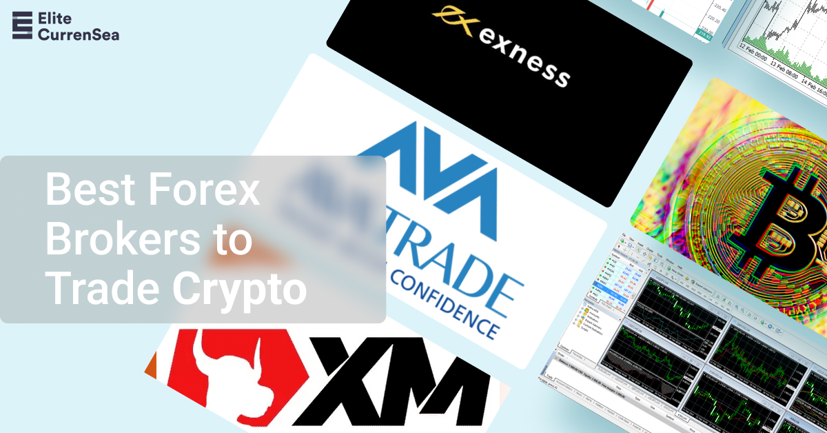 Most Crypto Pairs Forex Brokers | Brokersome!