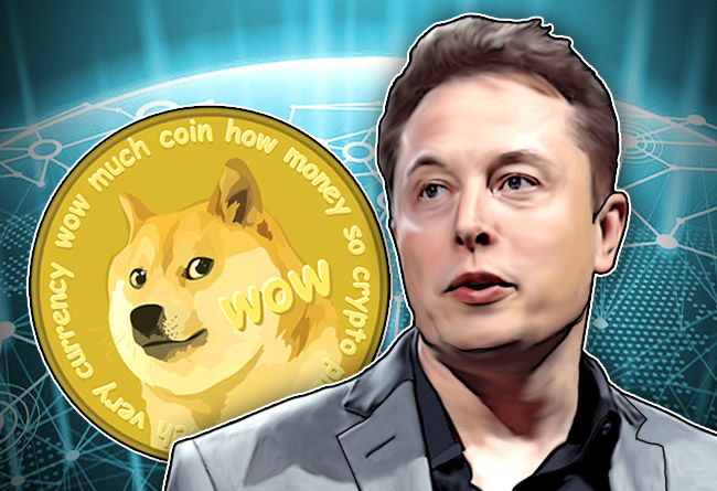 Elon Musk promised to fund Dogecoin, now the foundation accounts are overdue