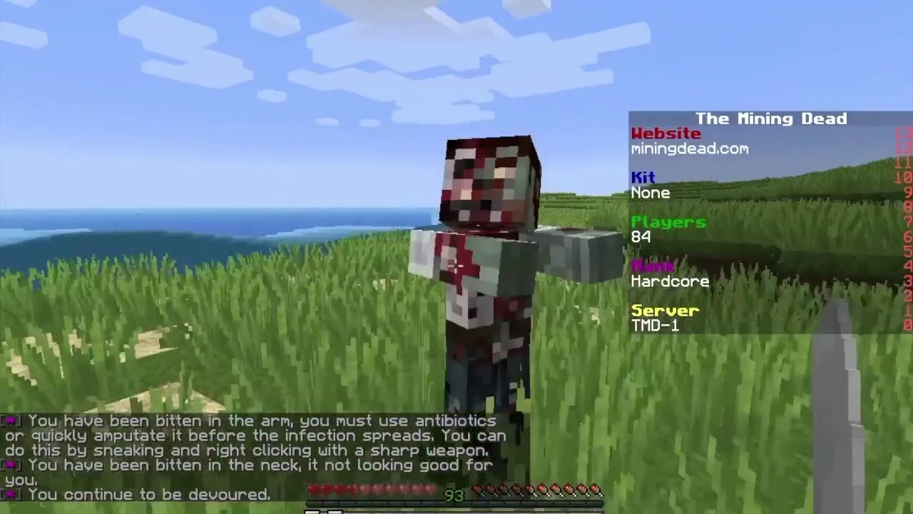 Best Minecraft Servers 