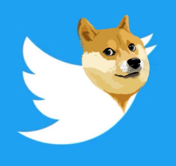 Dogecoin surges after Twitter accepts Musk's buyout offer