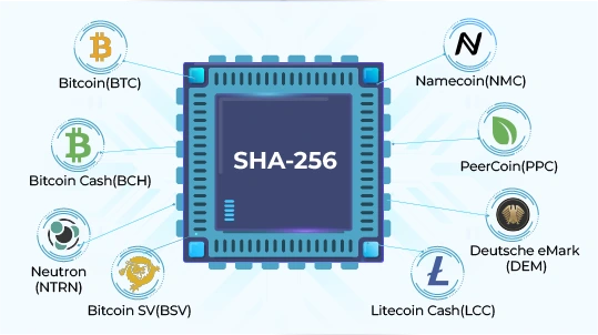 SHA Coins | CryptoRival