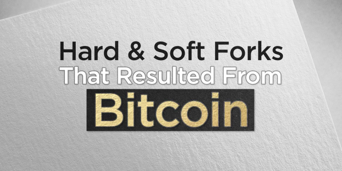 A History of Bitcoin Hard Forks