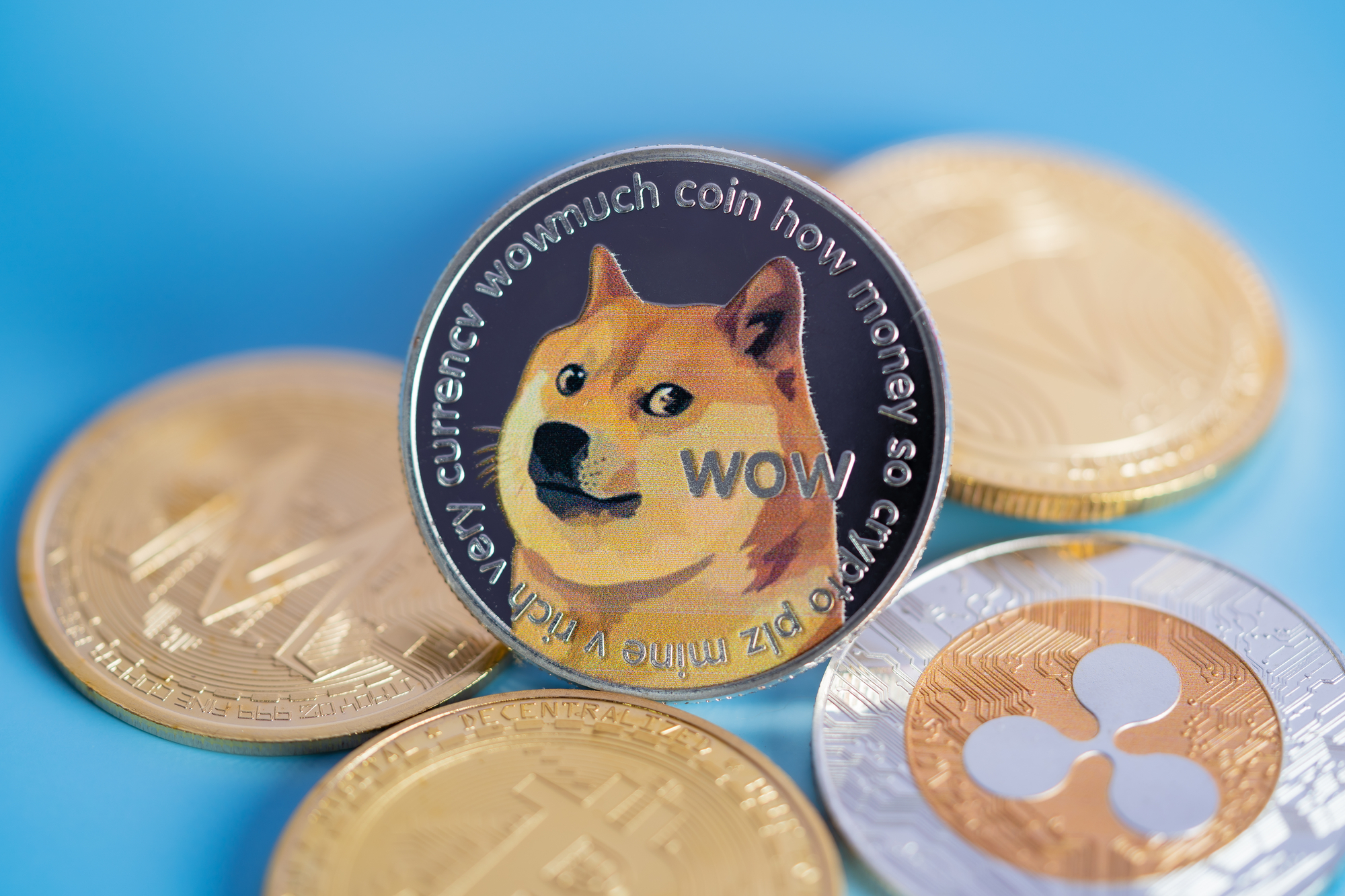 Is Dogecoin a Good Investment in ? - Benzinga