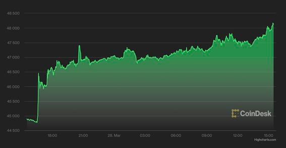 Chart: The Rise and Fall and Rise and Fall of Bitcoin | Statista