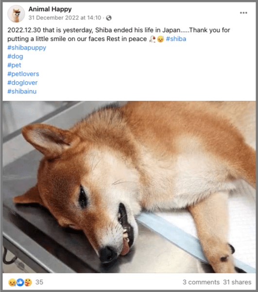 Is Dogecoin Dead: Unpacking the Current State of the Crypto