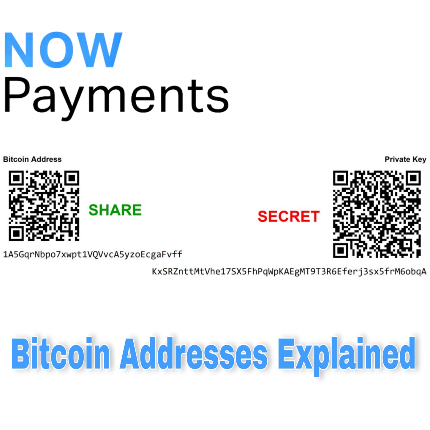 What is my BTC Address?