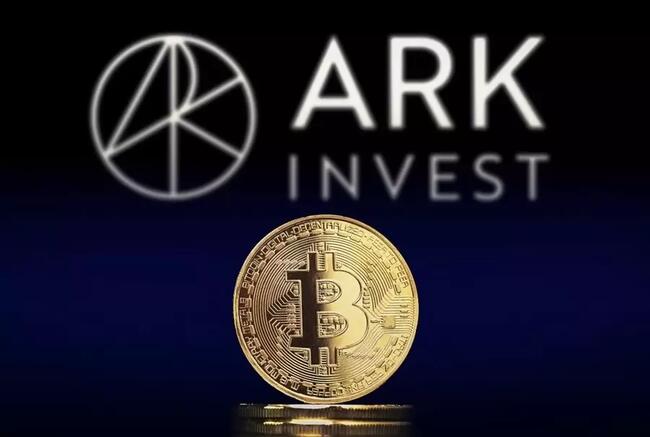 3 Ways to Start Mining Ark - coinmag.fun