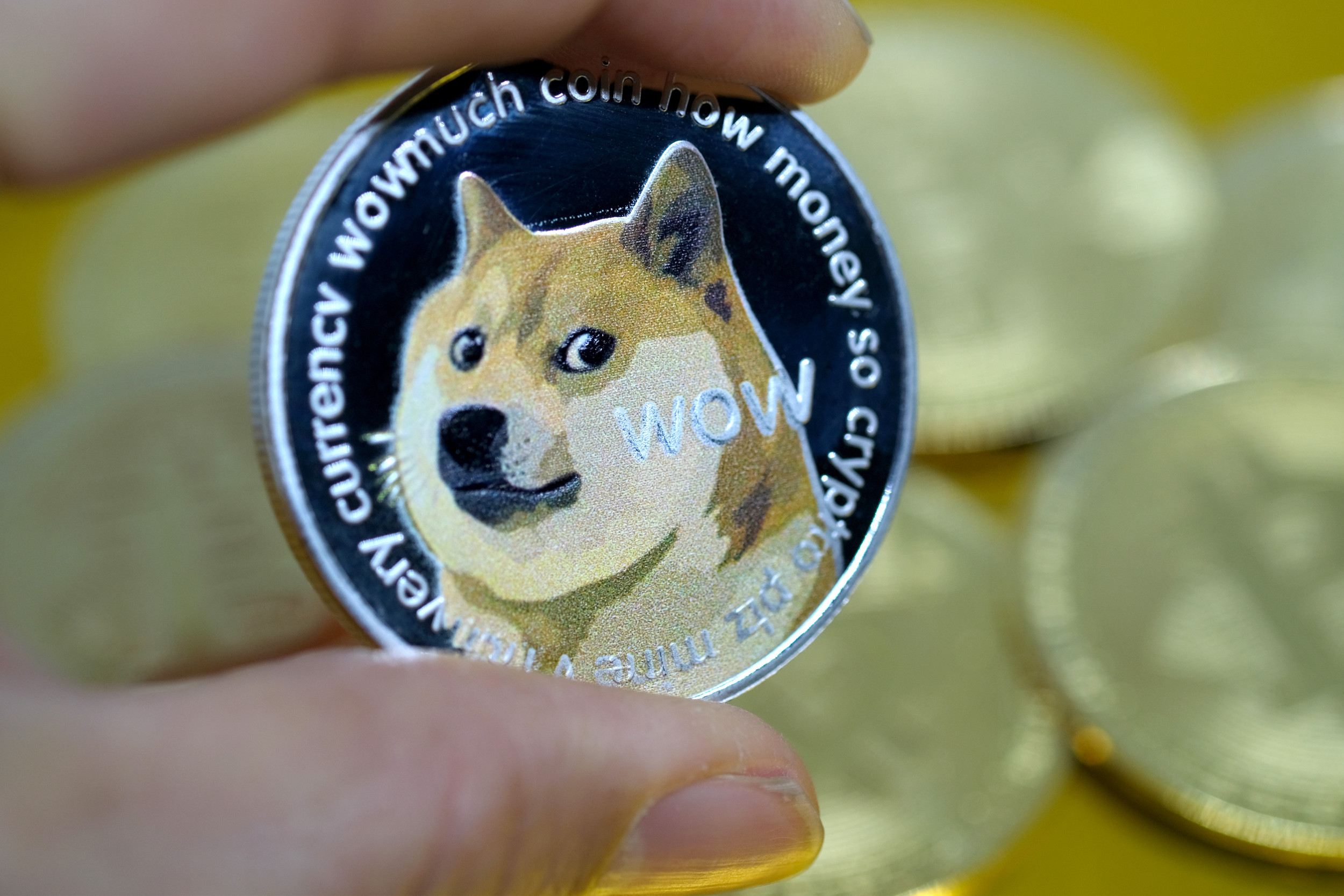 Dogecoin USD (DOGE-USD) Cryptocurrency Forum & Discussion - Yahoo Finance