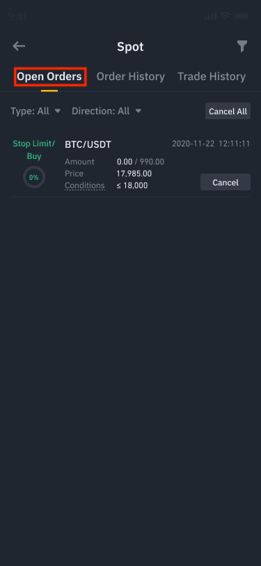 What is Stop Limit Order? Binance Spot Limit