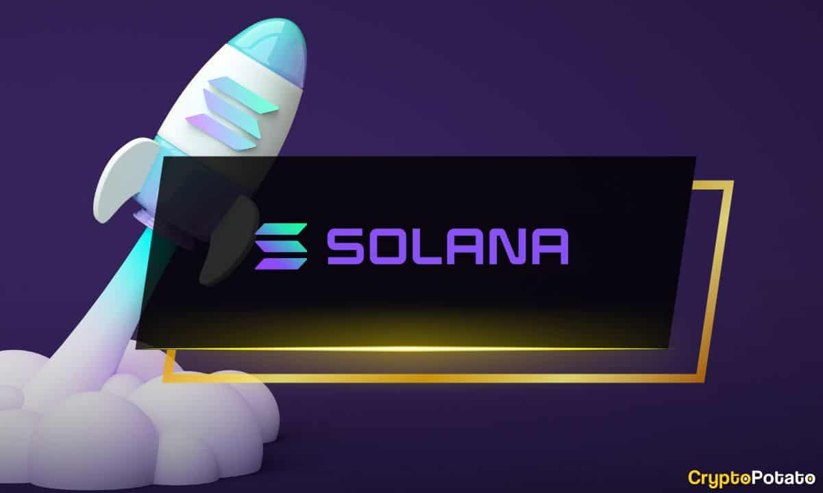 Highly Recommended Solana Wallet for You to Choose Right Now