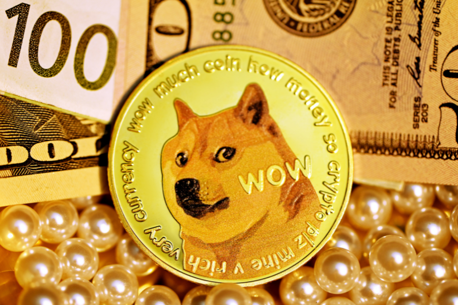 DogeCoin DOGE: Currency Exchange Rates Table