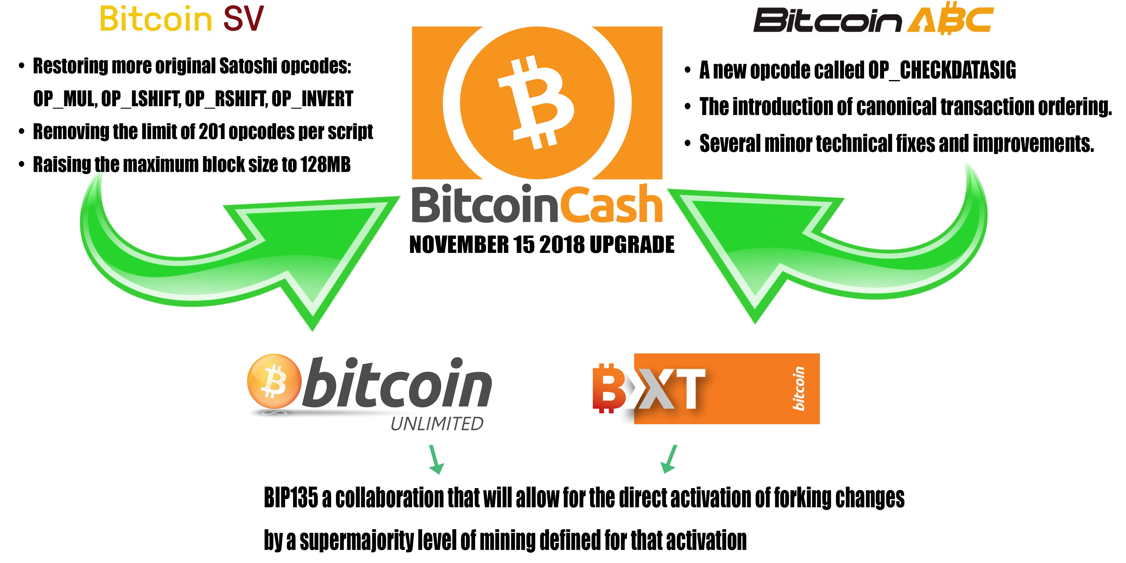 Bitcoin vs Bitcoin Cash - Key Differences and Similarities