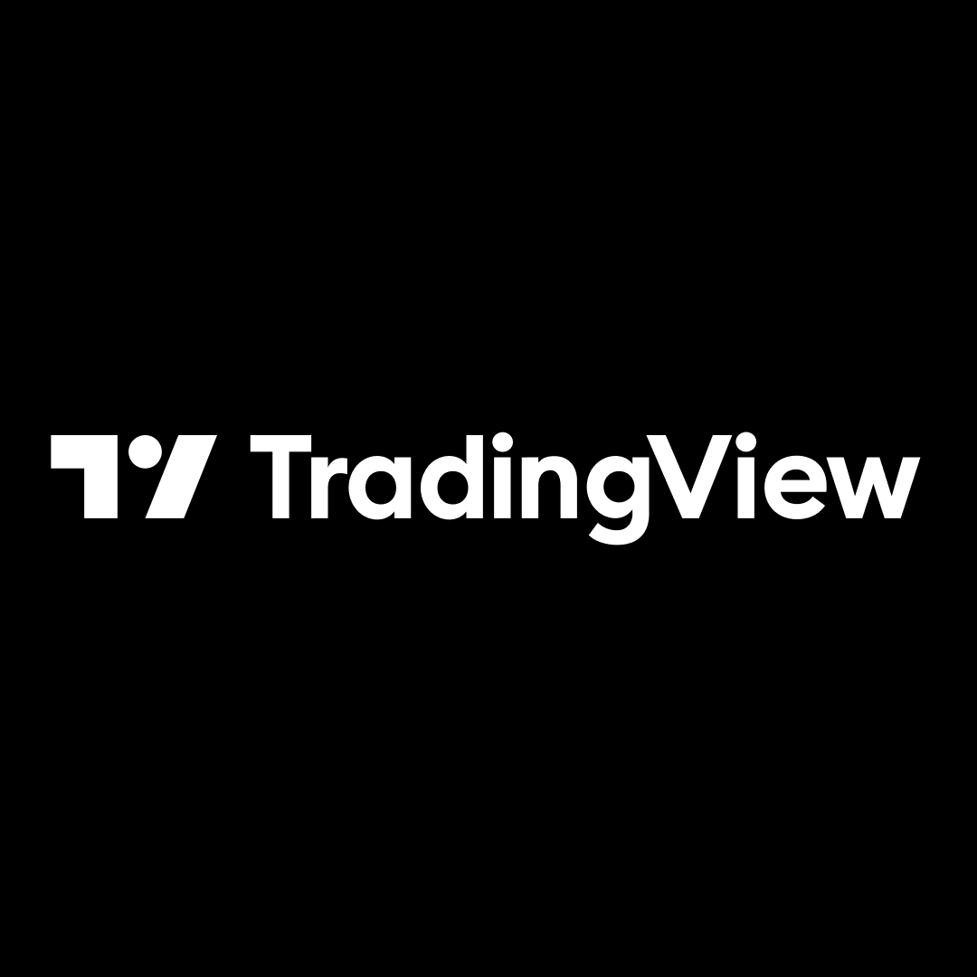 How To Use TradingView For Professional Trading ()