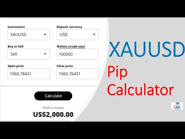 Forex Pip Calculator | Pip Value Calculator - WikiFX