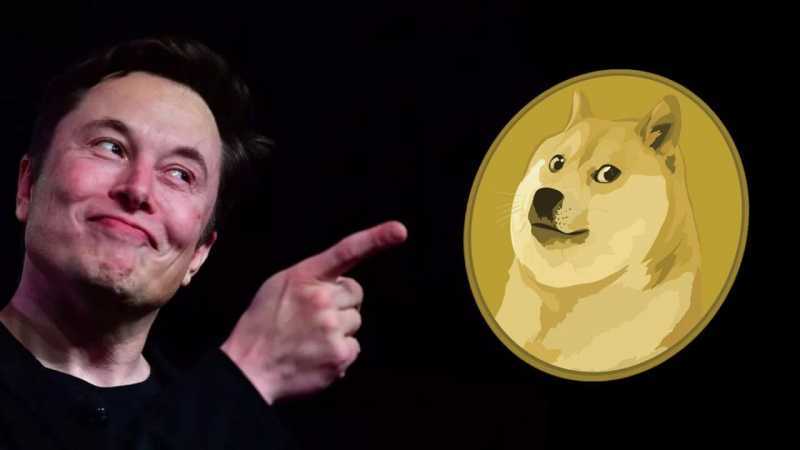 The Dogecoin crypto is resistant despite Elon Musk's departure