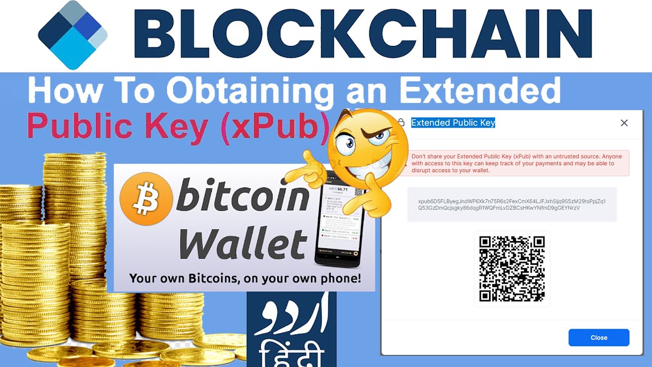 The Bitcoin Extended Public Key: Explaining The Mystery