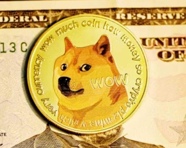 Convert DOGE to UAH - Dogecoin to Ukrainian Hryvnia Calculator