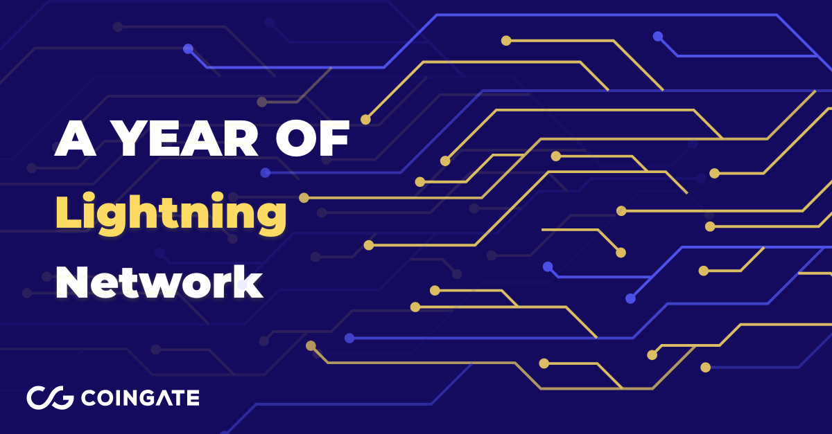 Lightning Network Statistics - Bitcoin Visuals