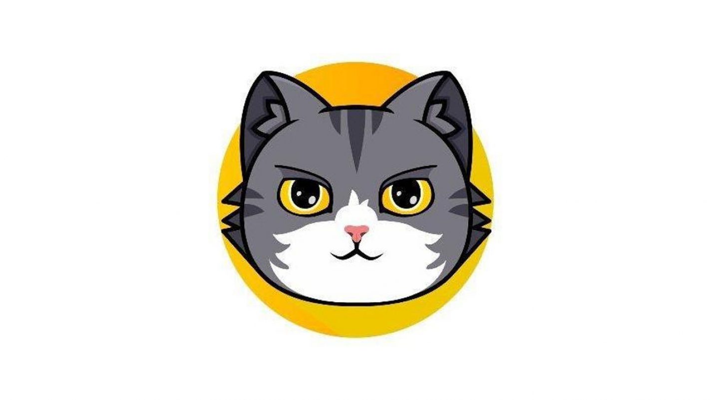 CatCoin price today, CAT to USD live price, marketcap and chart | CoinMarketCap