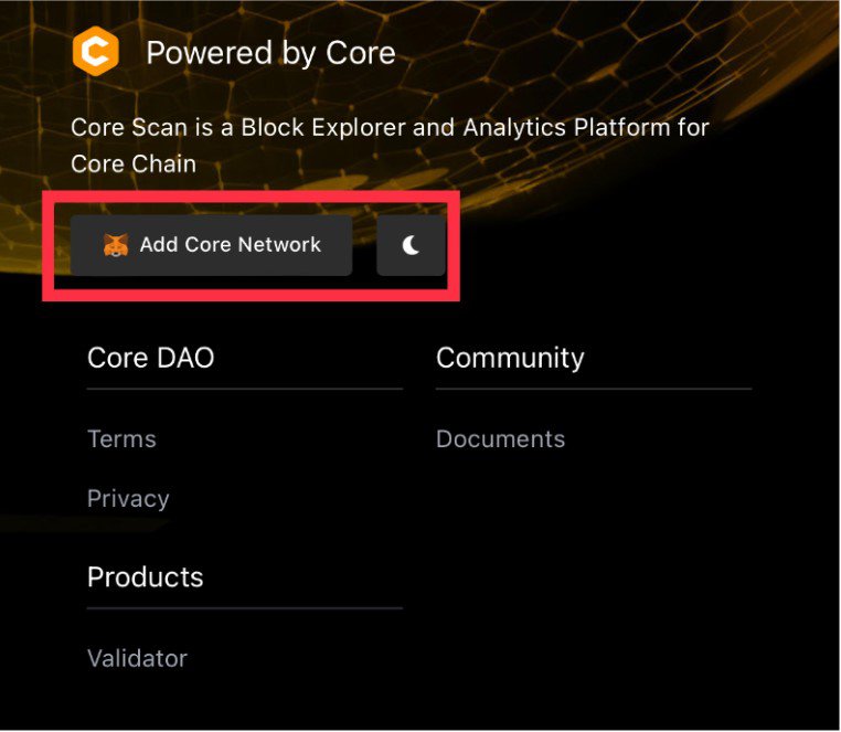 MetaMask vs Trust Wallet