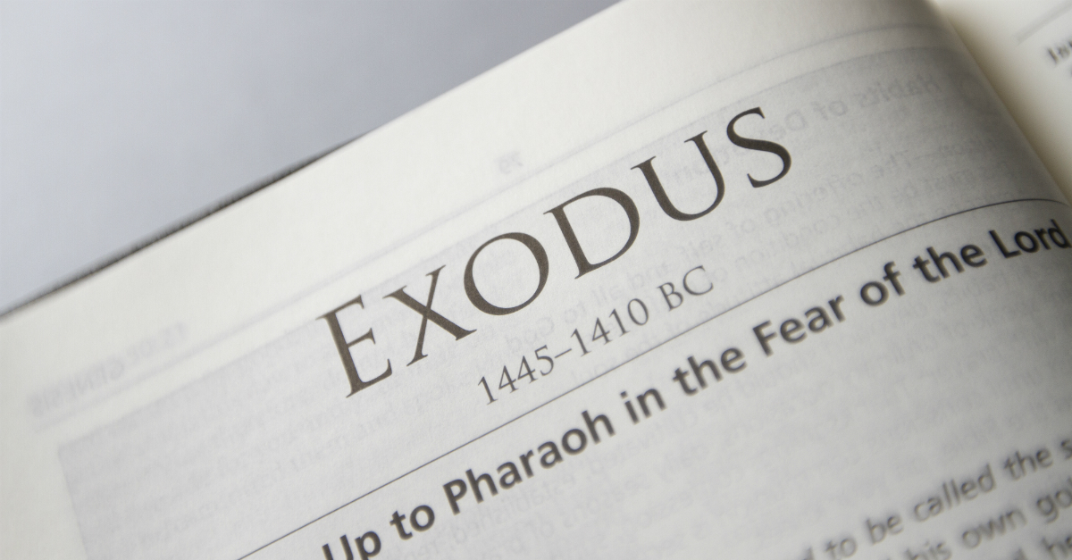EXODUS | English meaning - Cambridge Dictionary