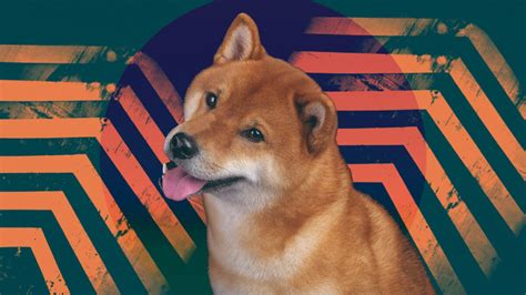 Dogecoin Price Prediction A Good Investment? | Cryptopolitan