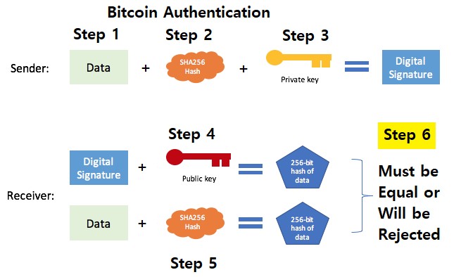 Check Bitcoin Wallet Address Balance - Online Tool | BitRef