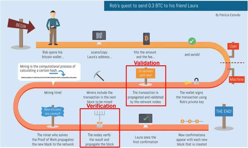 What You Need to Know About Bitcoin Nodes