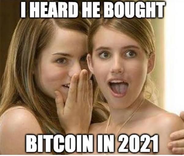 Crypto Meme Images - Free Download on Freepik