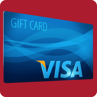 Prepaid Virtual Visa Debit Card for web money | visa Debit Card international