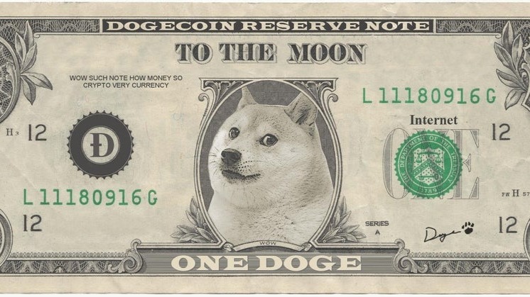 DOGE to USD Price today: Live rate Dogecoin in US Dollar