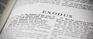Exodus The 10 Commandments - Susan Merrill