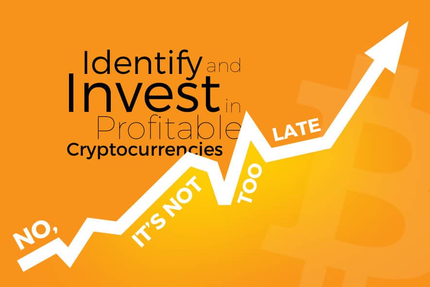 How to Identify the Next Big Cryptocurrency