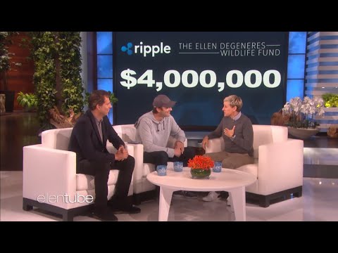 Ashton Kutcher Surpises Ellen DeGeneres with $4 Million Donation to Wildlife Fund