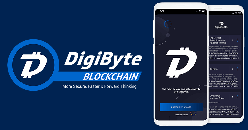 DGB Block Explorer - DigiByte Transaction Tracking