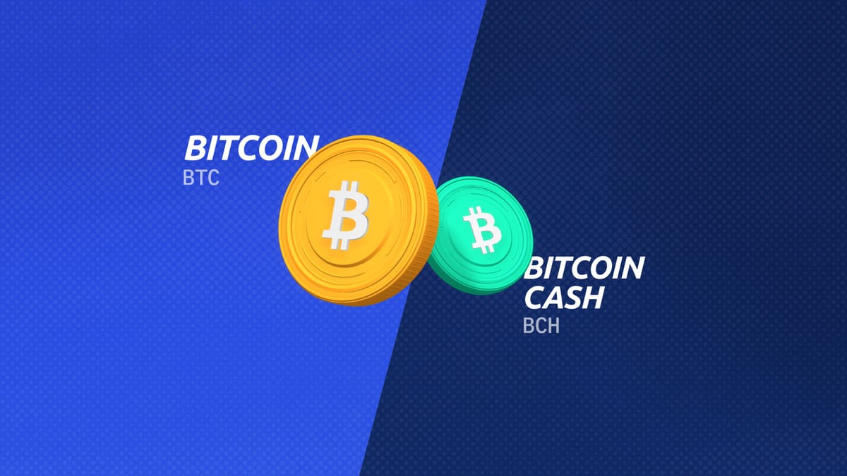 List of 5 Best Bitcoin Cash (BCH) Wallets