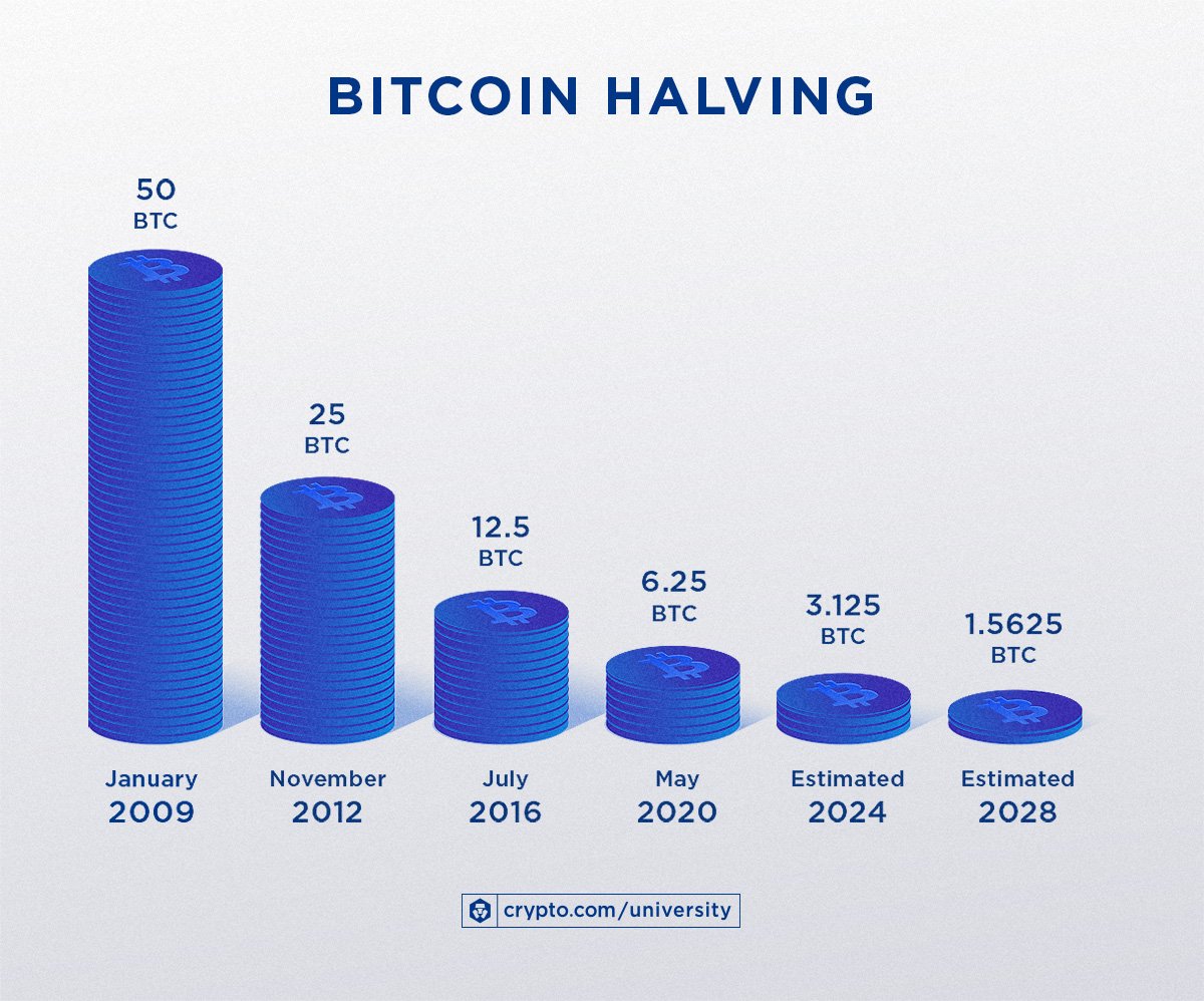 Will Bitcoin Halving Increase Price? Everything You Need to Know