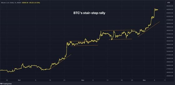 The History of Bitcoin Bull Runs | Trust