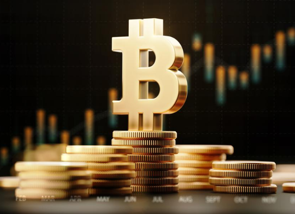 Bitcoin Capital | Your gateway to the digital crypto investment world.