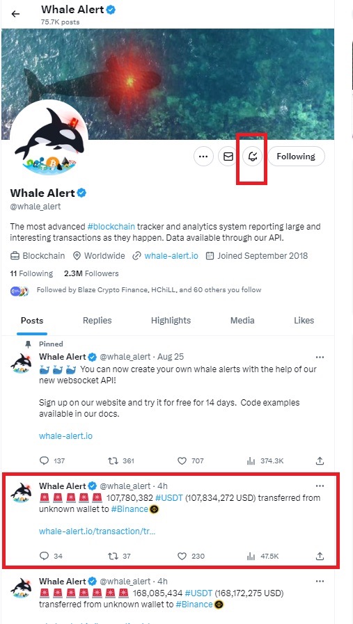 Bitcoin (BTC) Whale Wallets Spook Crypto Twitter With Sudden Movements